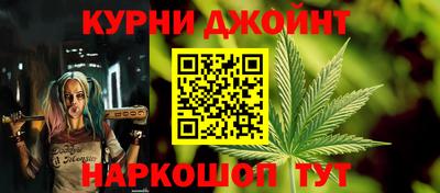 сатива Будённовск