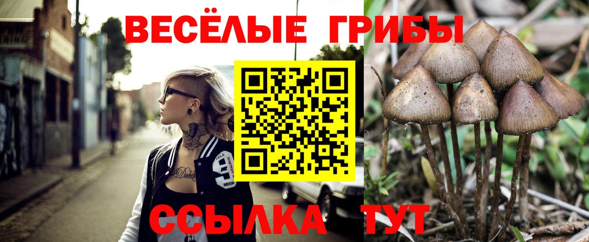 где продают   Псилоцибиновые грибы мицелий  Кушва  Вход с VPN  Галлюциногенные грибы Magic Shrooms 